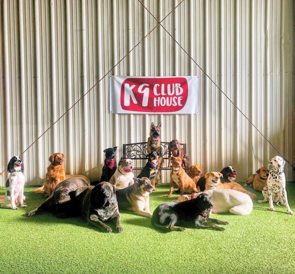 K9 Club House the best dog daycare facility