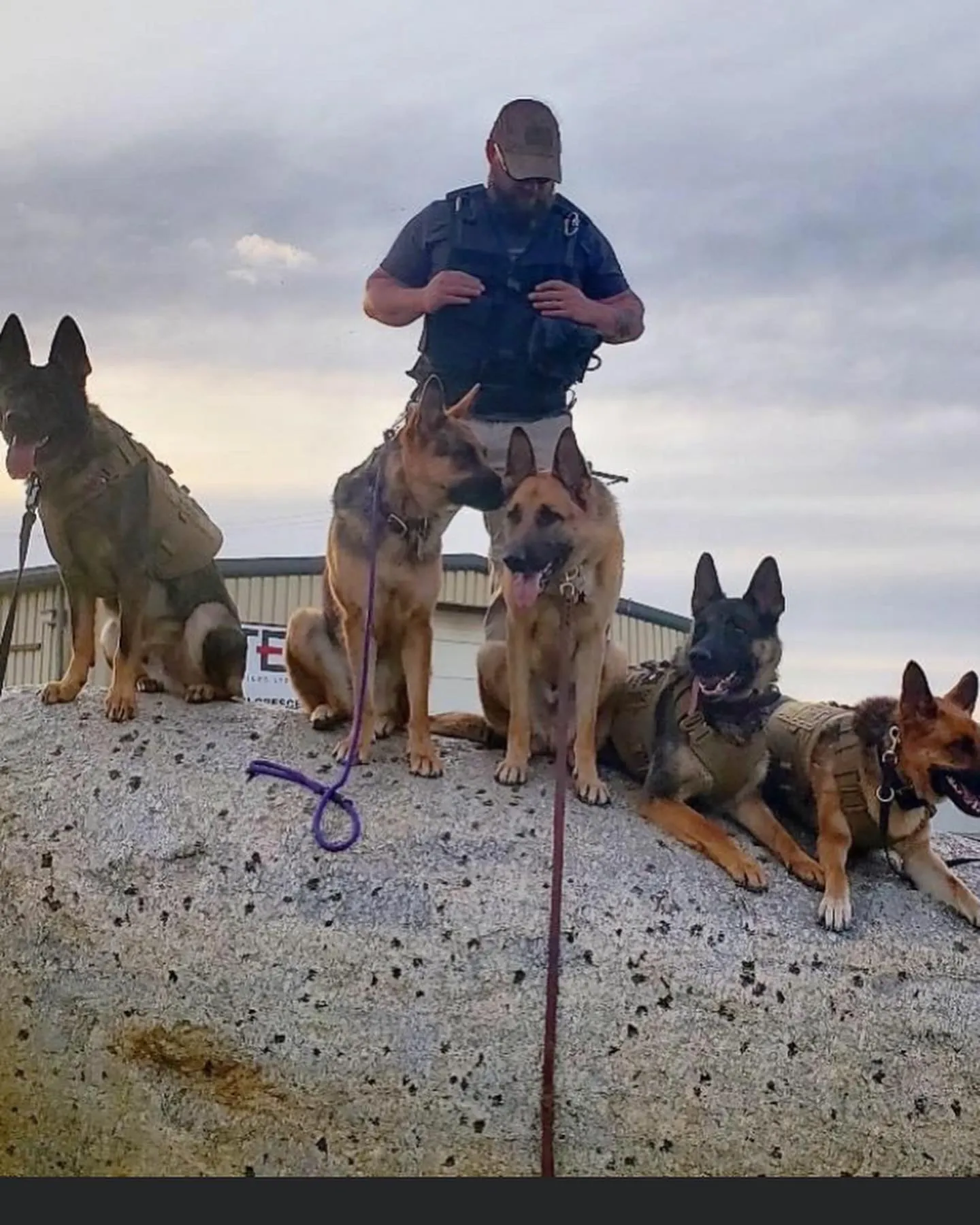Behavioural Training