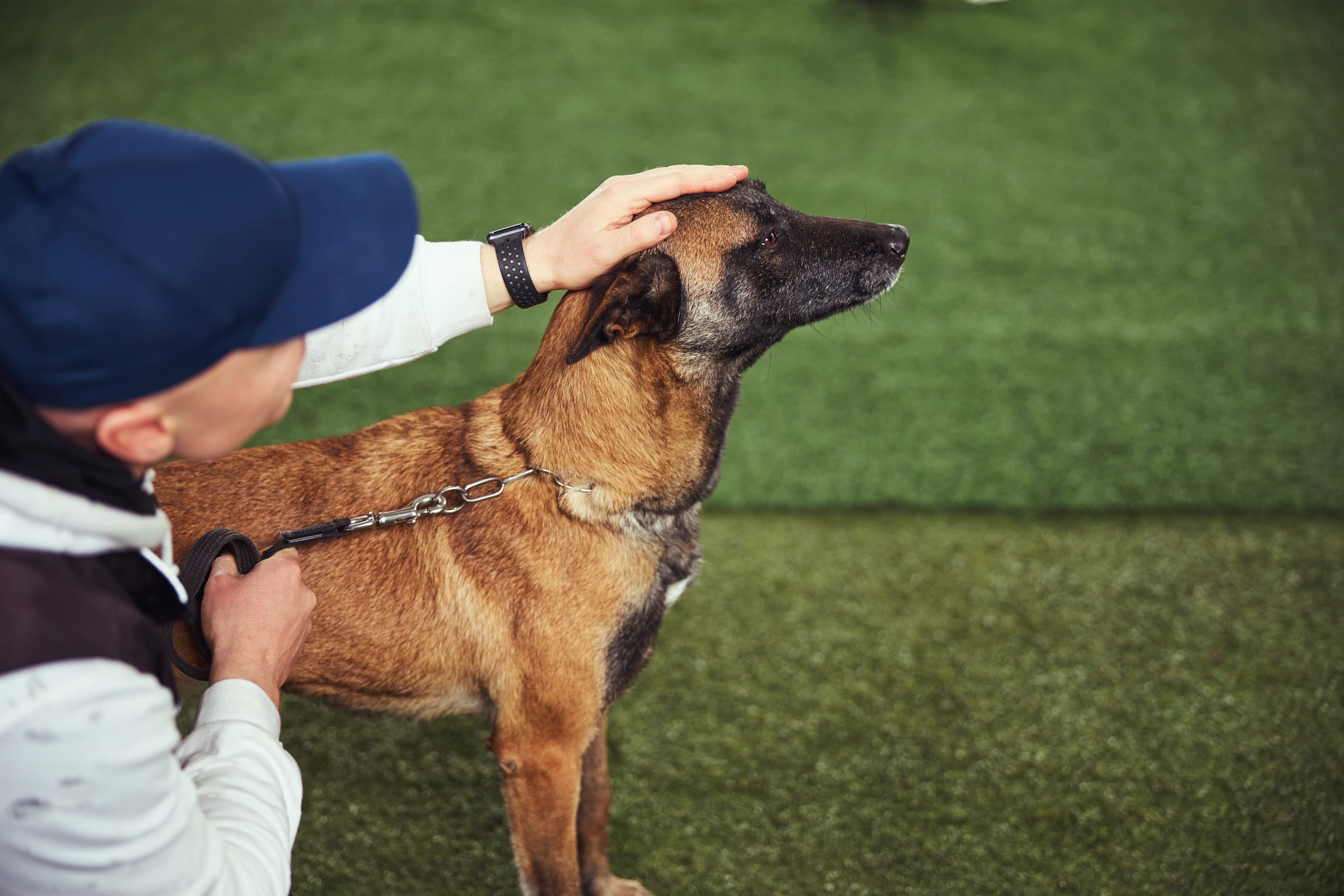 Dog Training at K9 Clubhouse
