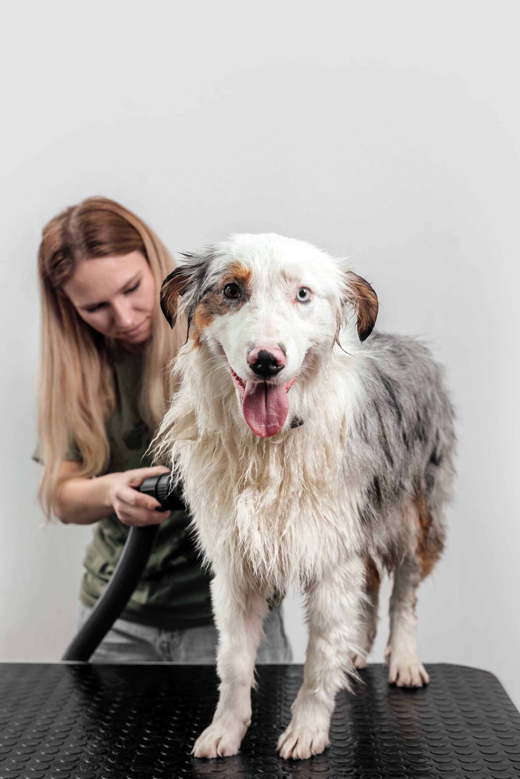 Complete care, nose to tail.