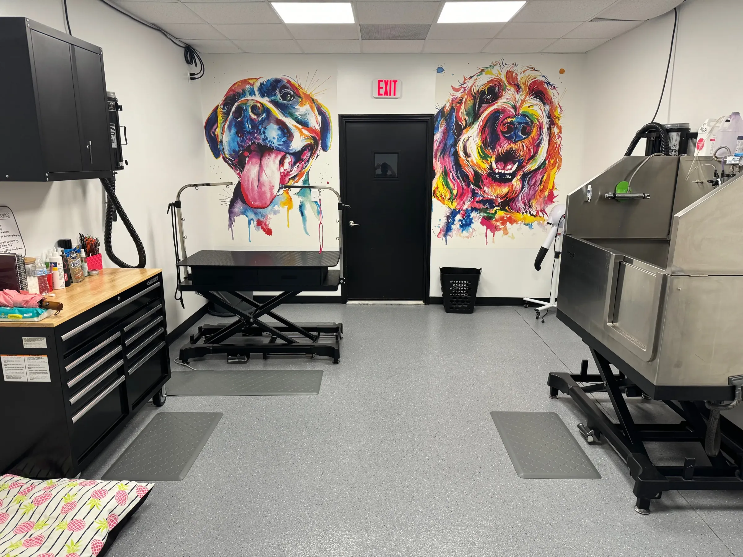 Dog Spa & Grooming