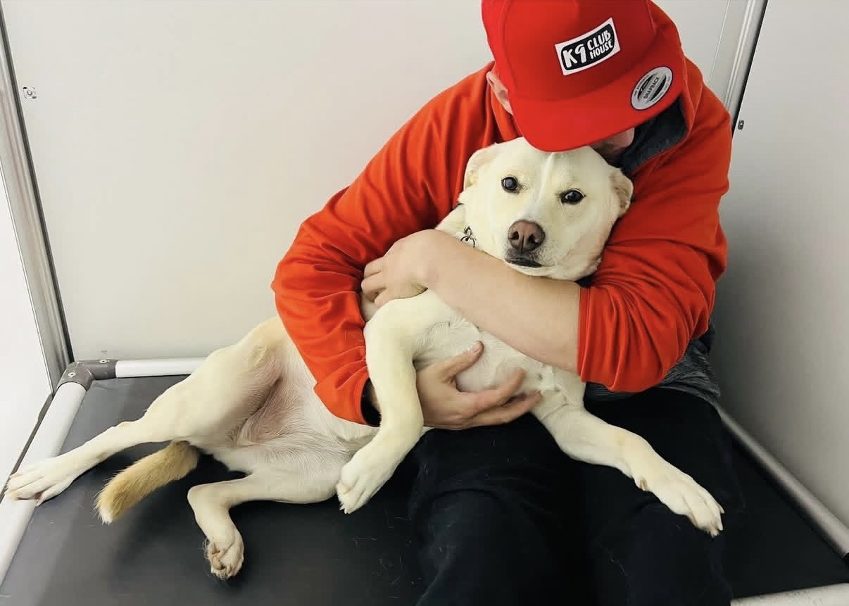 24/7 On-Site Staff for Dog Safety