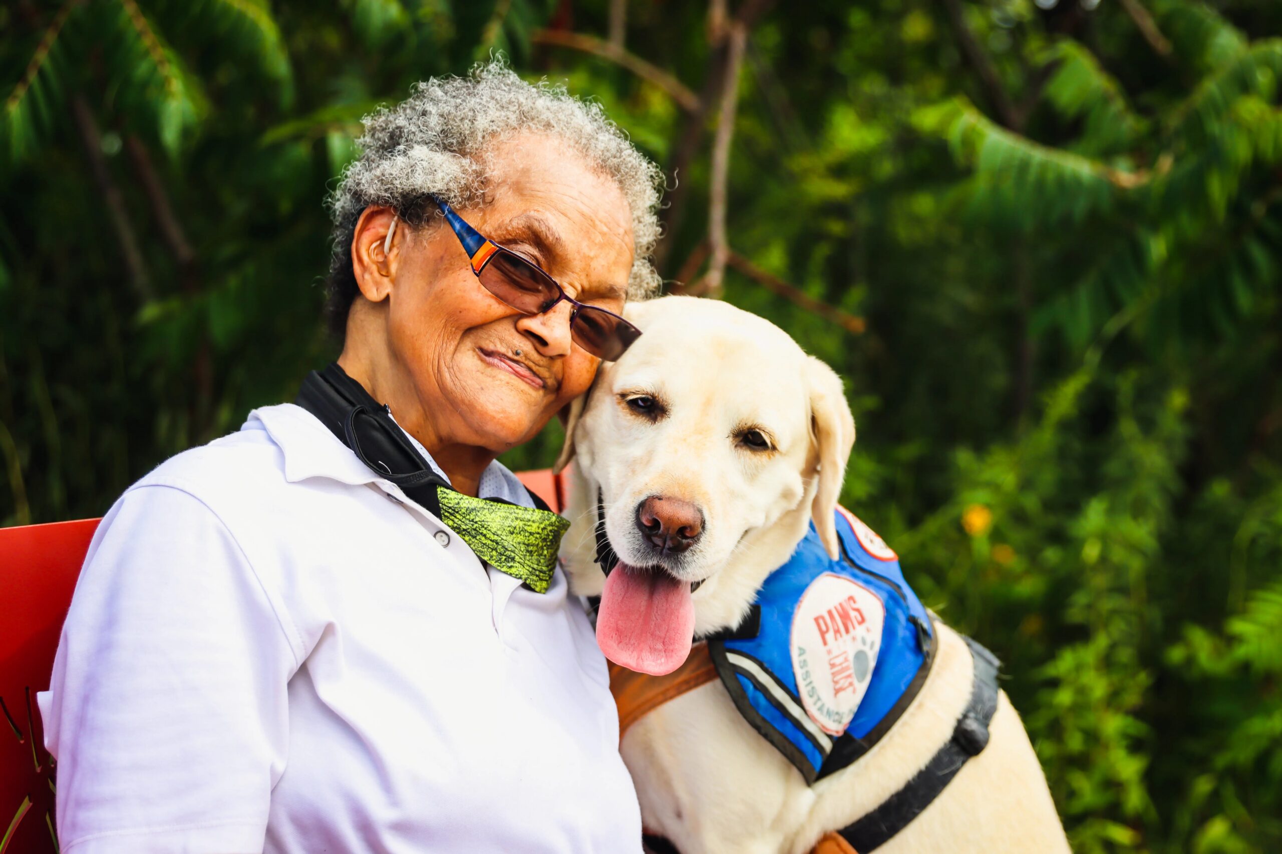 choosing the right dog daycare for your dog's temperament - Elderly woman embracing her service Labrador Retriever outdoors, showcasing companionship.