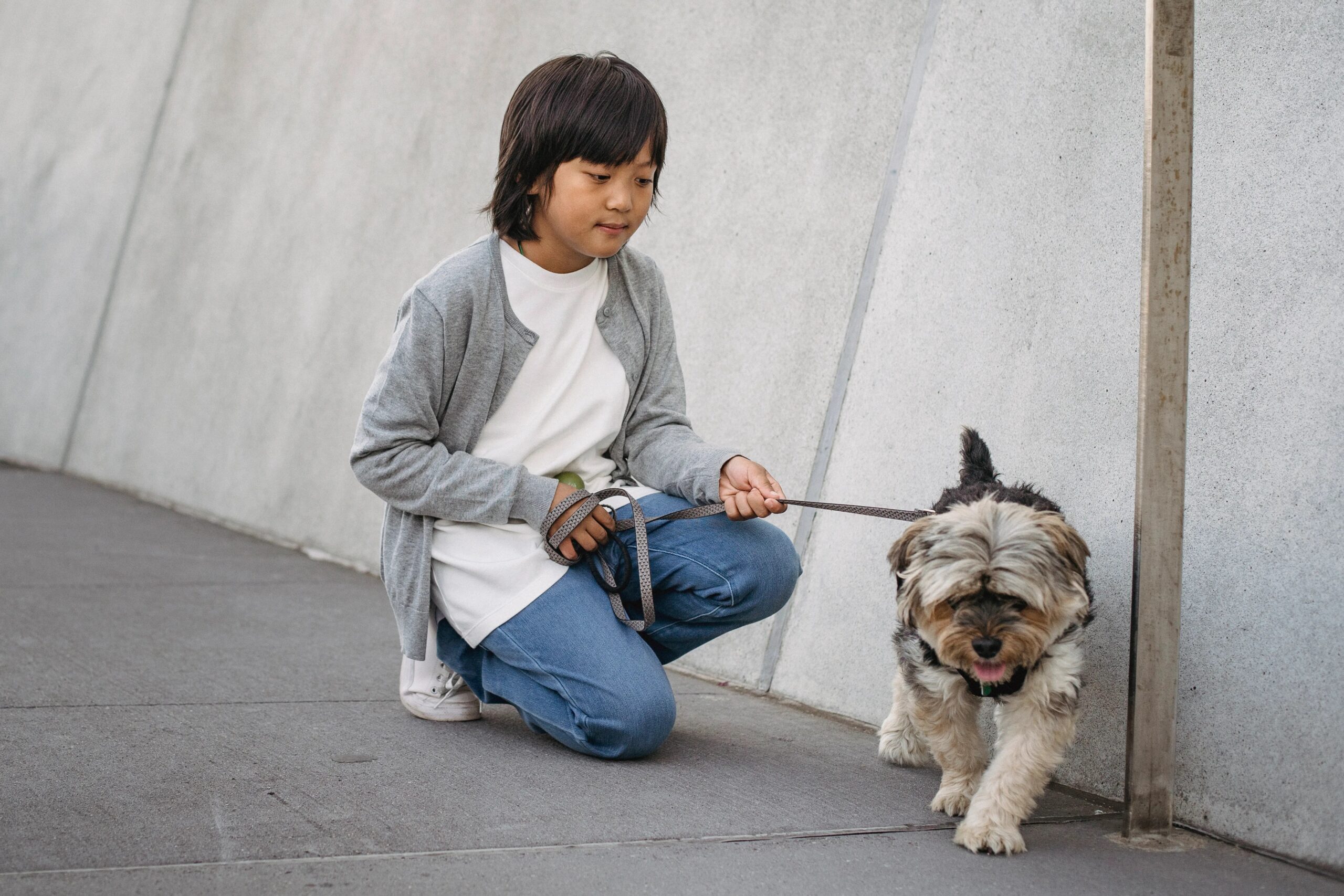 full service dog care The Woodlands - Asian kid in casual outfit squatting and holding leash with dog while spending weekend together