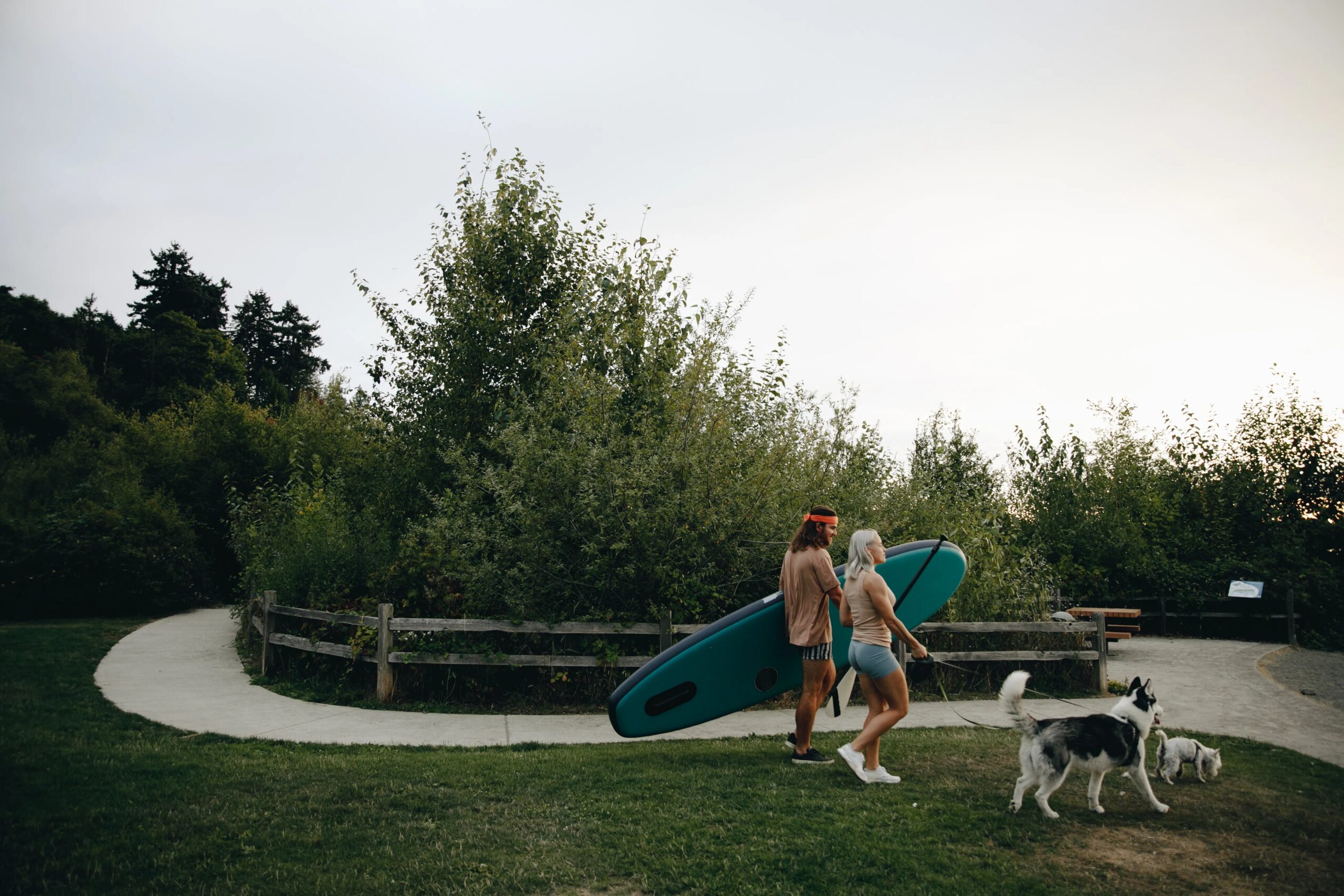 boarding for dogs